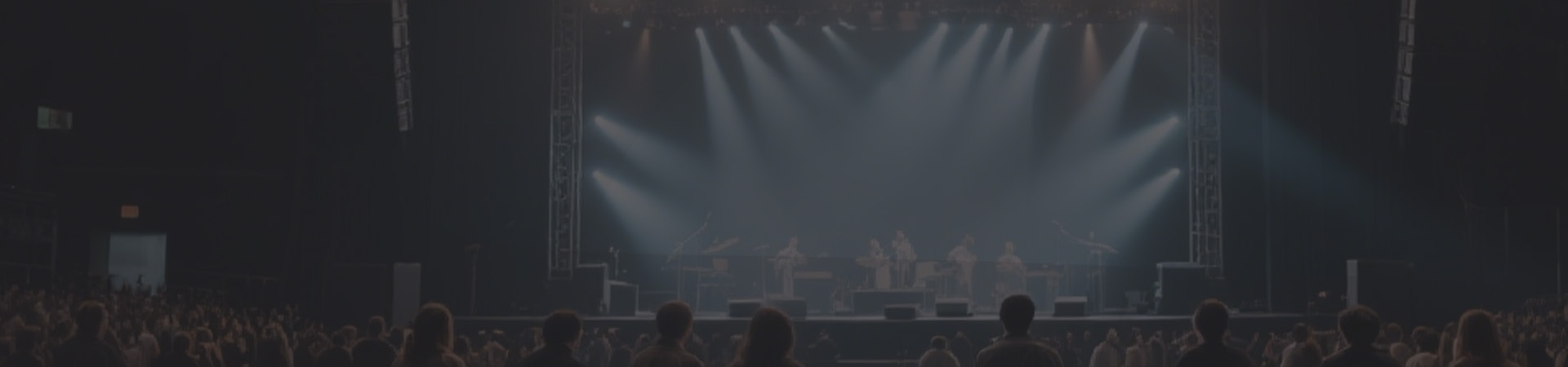 commercial audio amplifier